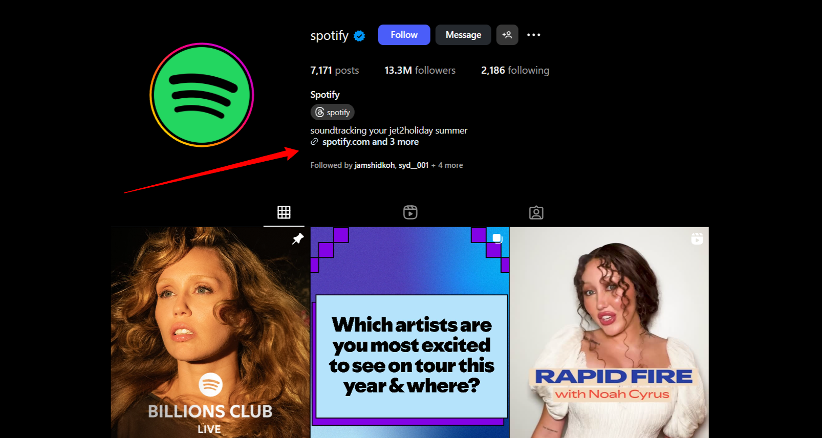 Branded Link vs Generic Link: Which One Drives More Clicks 3 Spotify Instagram Profile