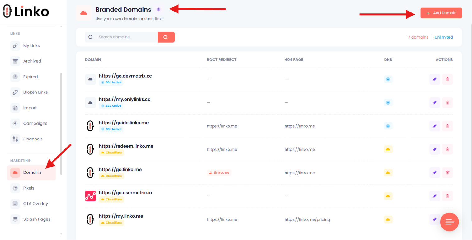 Linko branded domain page