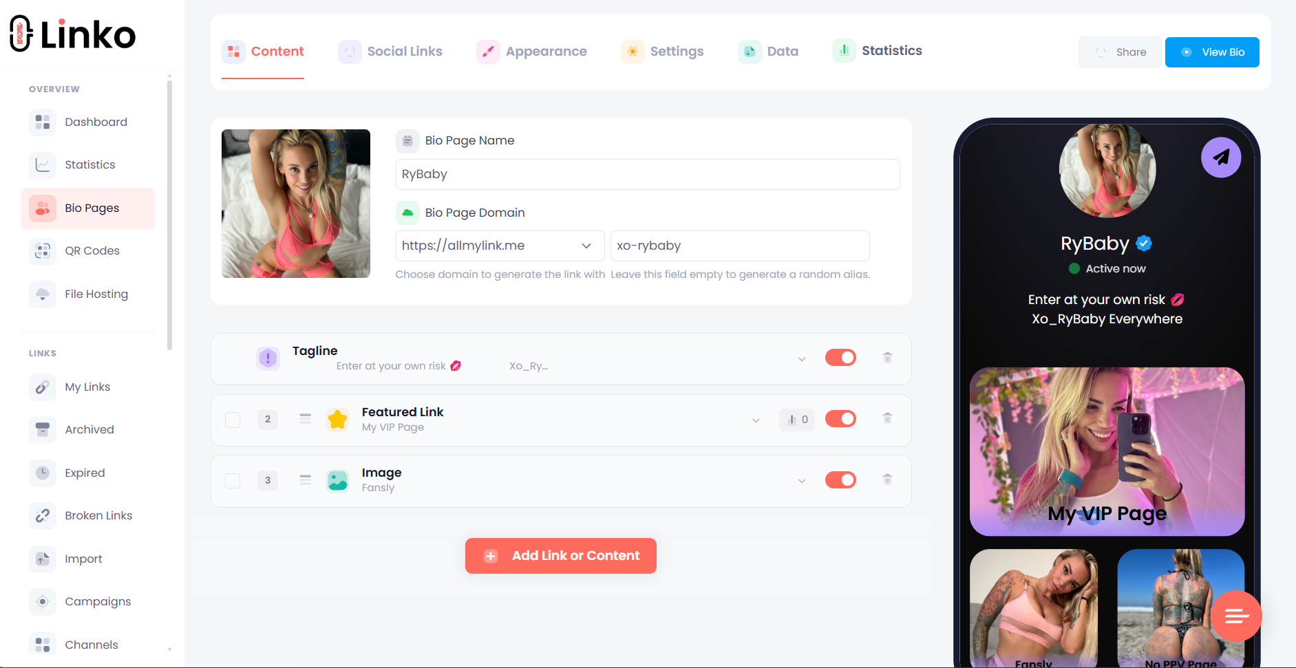 Linko Bio Page Editor
