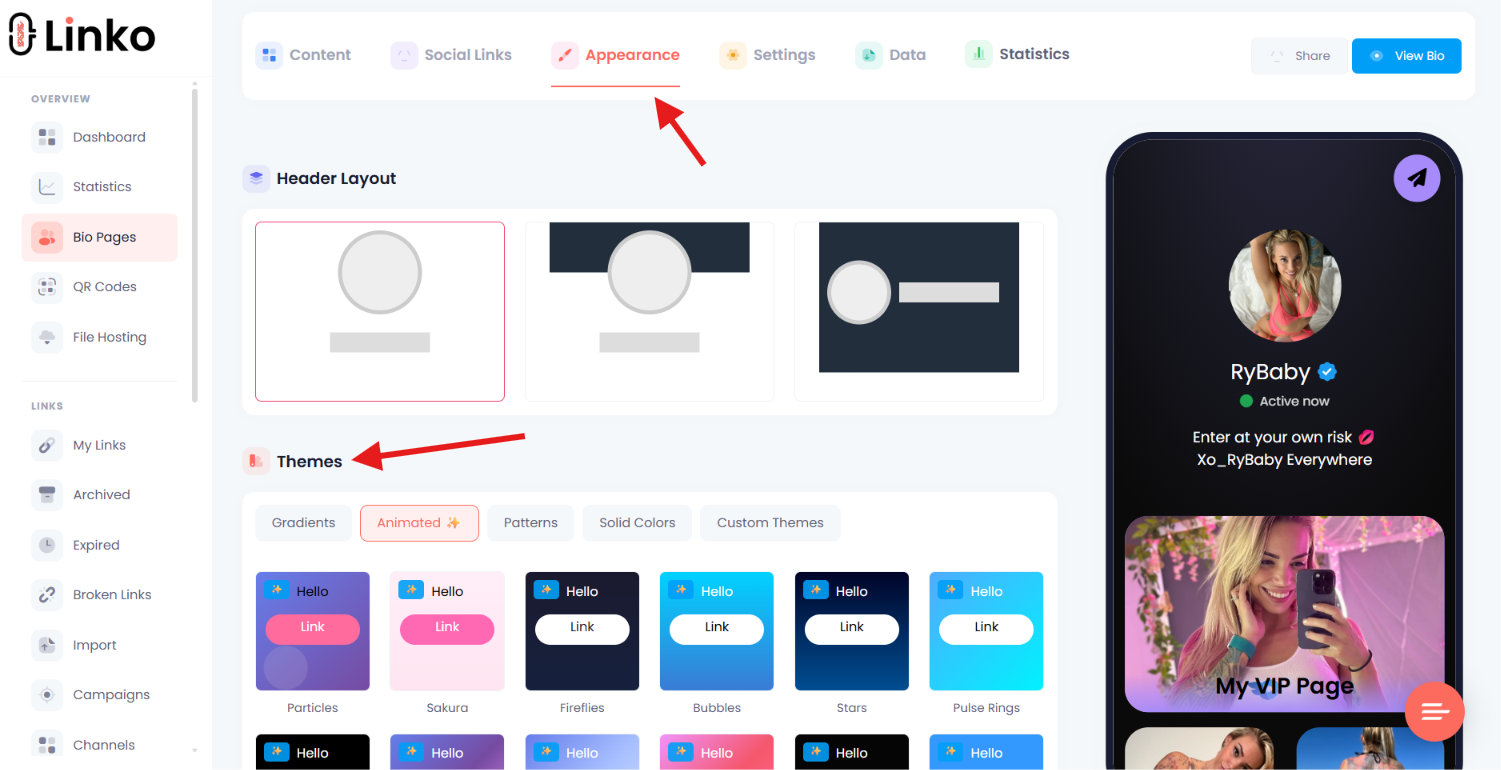 Separate Bio Page controls for templates, themes, and widgets.