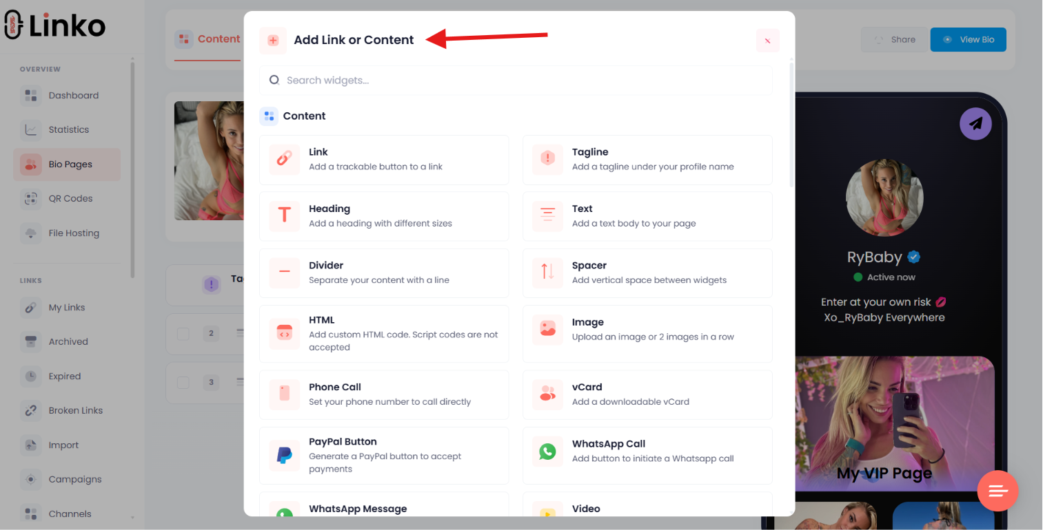 Separate Bio Page controls for templates, themes, and widgets.