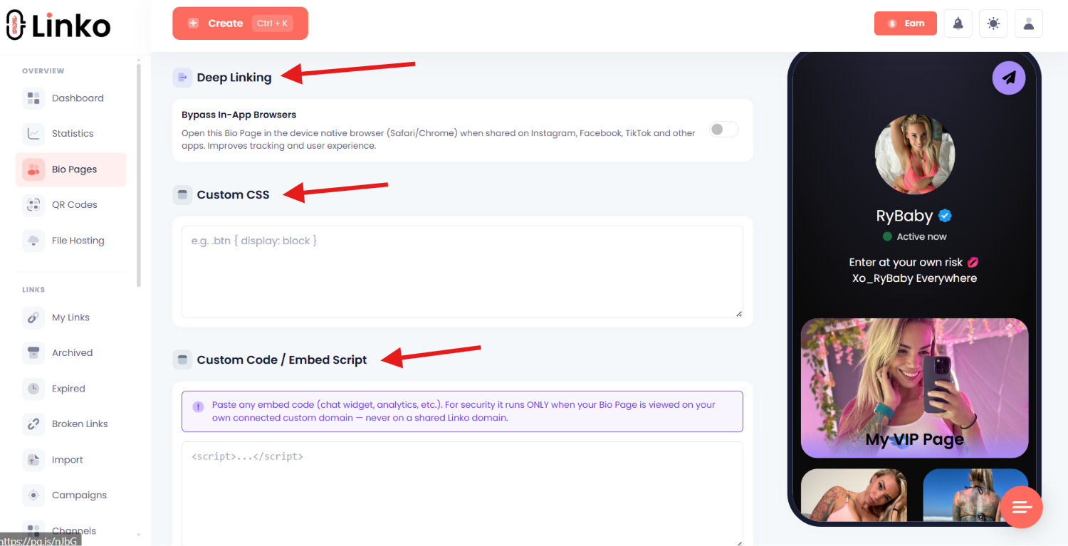 Separate Bio Page controls for templates, themes, and widgets.