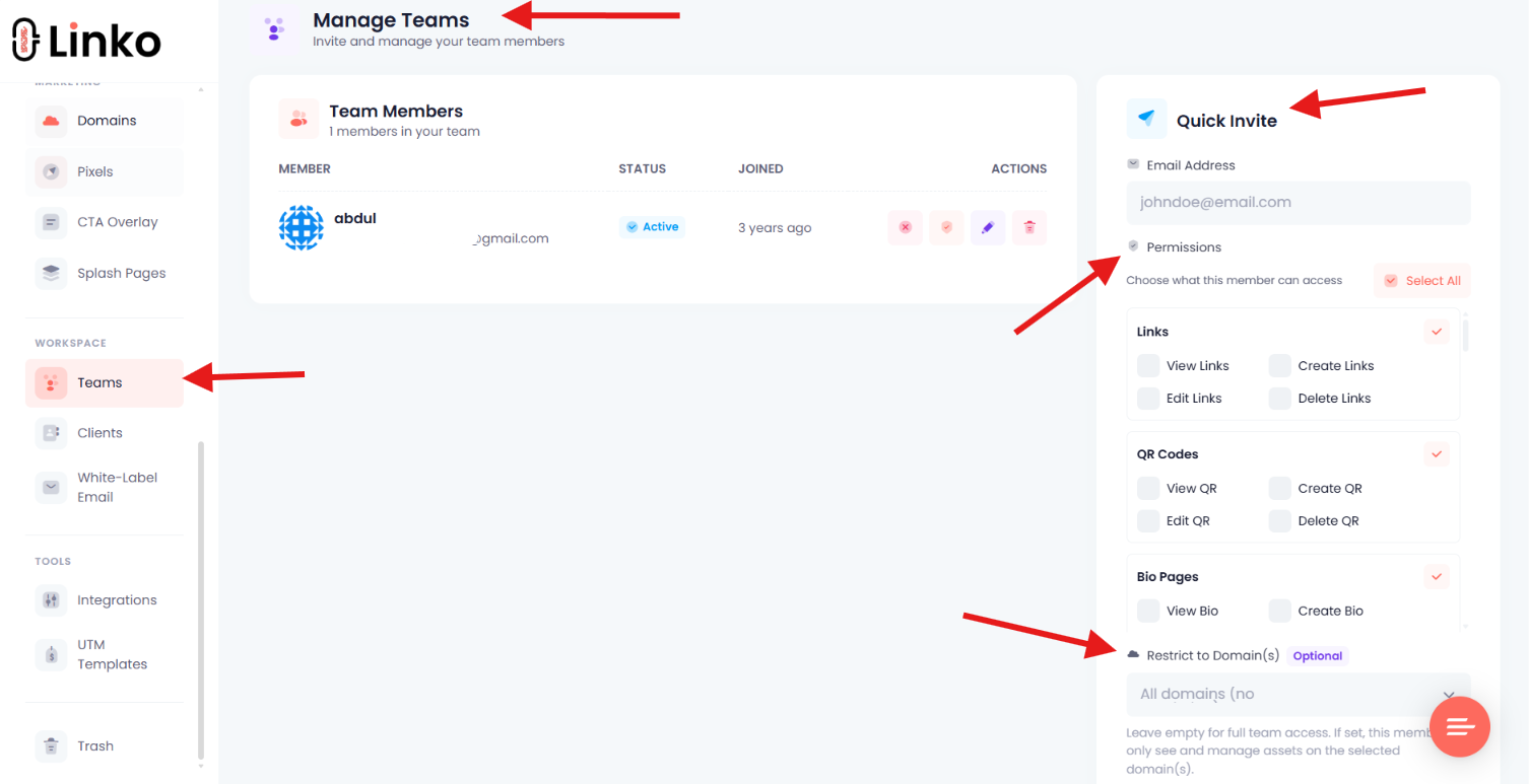 Agency workflow showing an owner, team member, client editor, and domain-scoped Bio Pages.