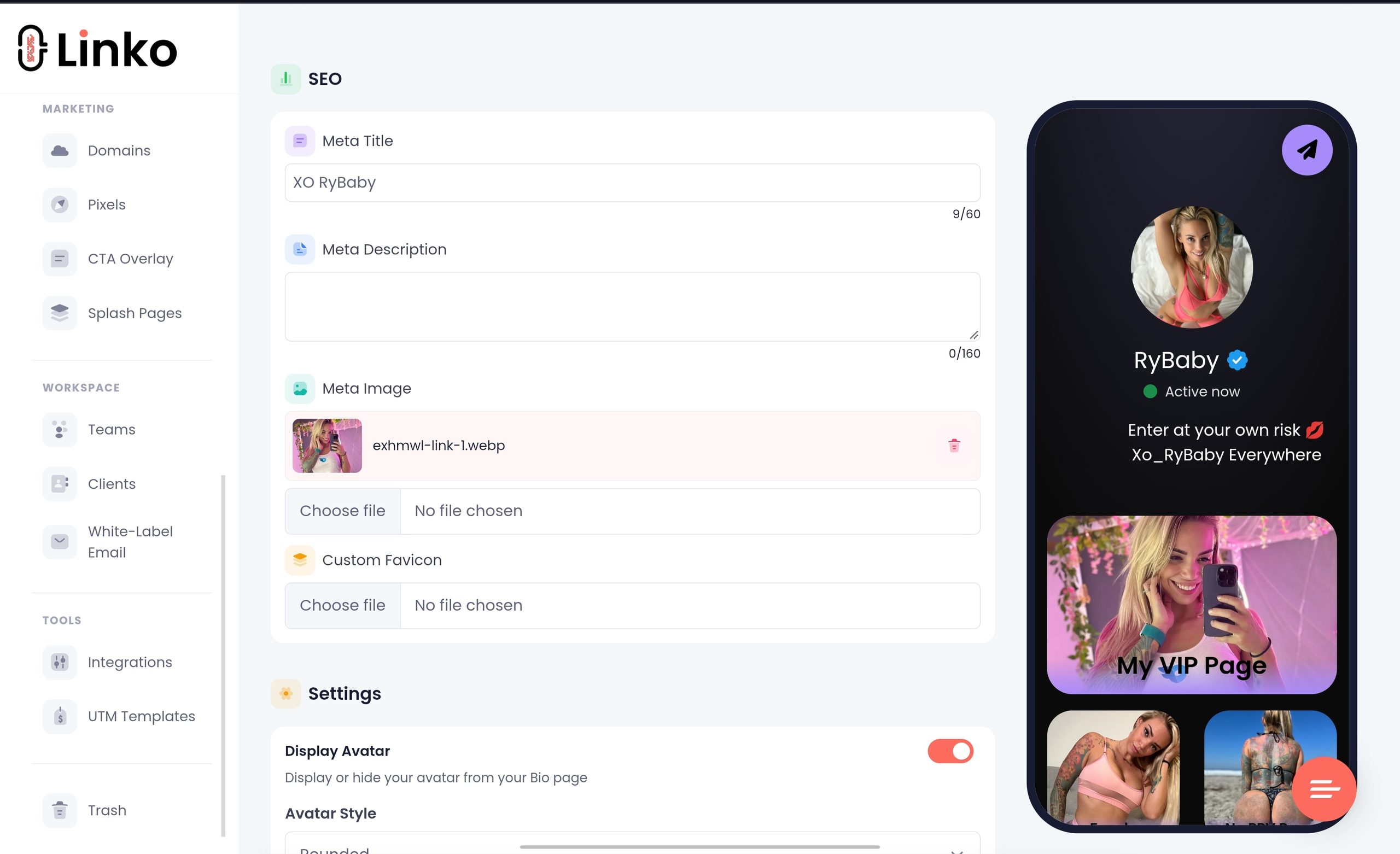 Linko bio page's settings tab options. 
