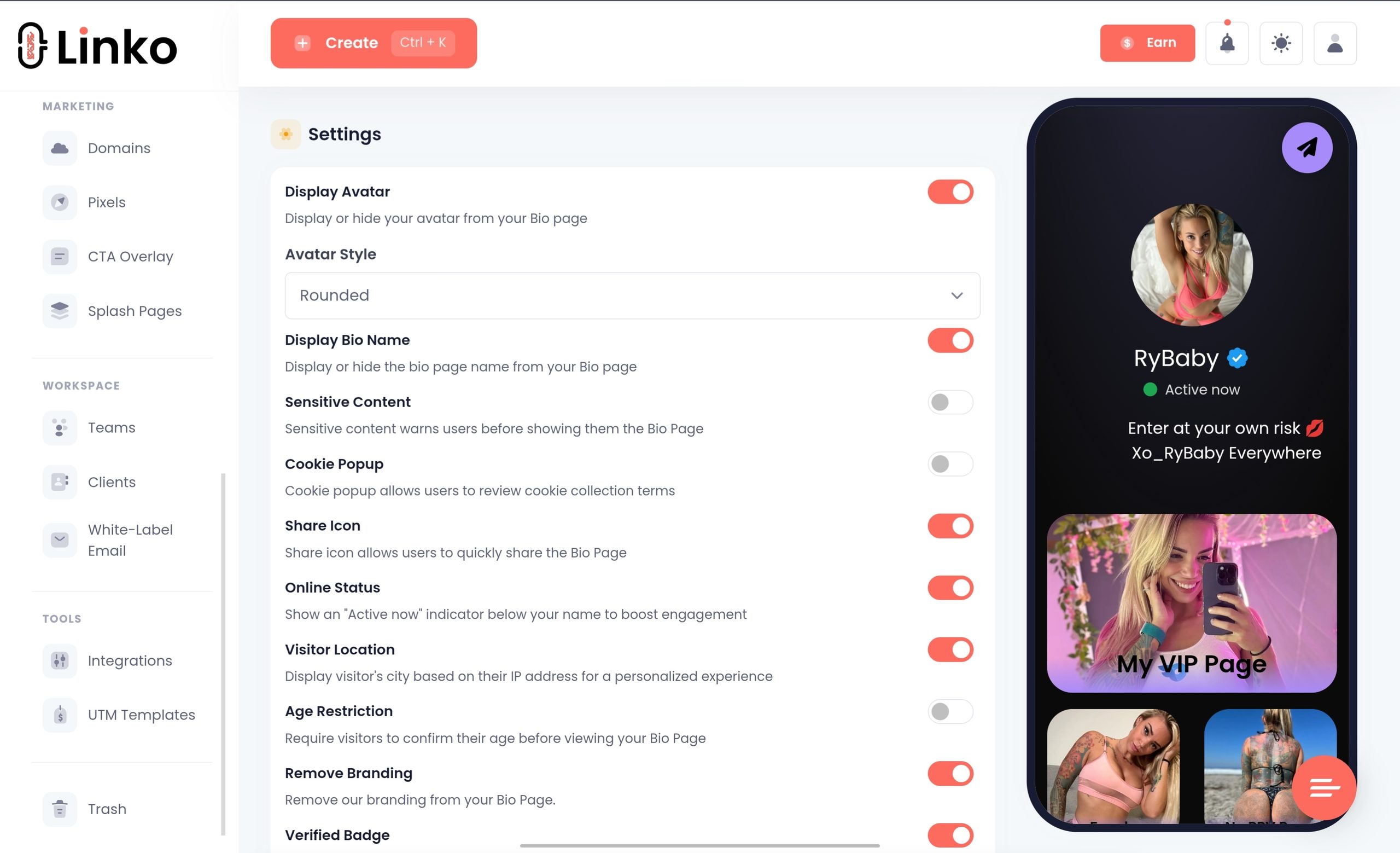 Linko bio page's settings tab options. 